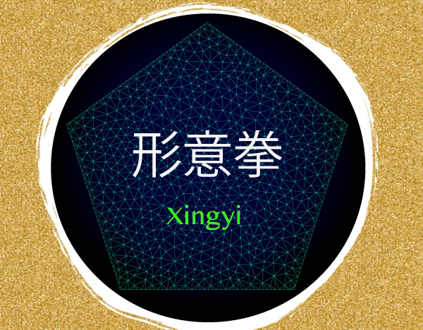 Cours de Xingyi Quan en ligne course image